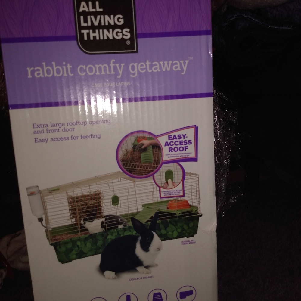 Rabbit comfy getaway